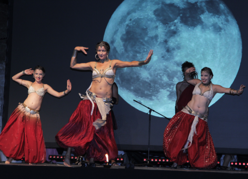 Fotografija 5 - Ne propustite XIV. Burnumske Ide: Nastupaju 4 Tenora i Metaklapa!