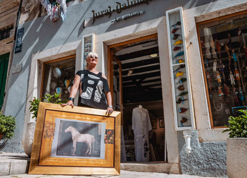 Konj Mersada Berbera i Šibenik Vjekoslava Stipice za kraj ljeta po fenomenalnim cijenama