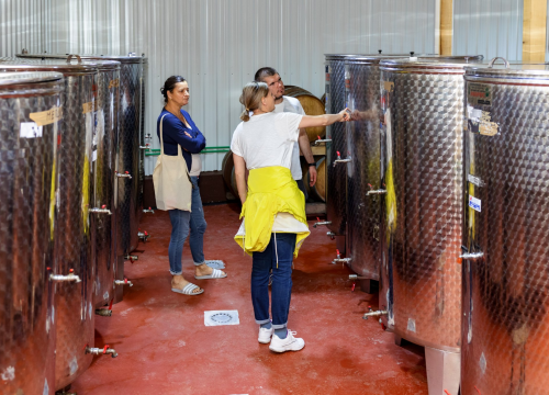 Fotografija 12 - Upisi bez državne mature na stručne studije Veleučilišta „Marko Marulić“ u Kninu na trećem upisnom roku
