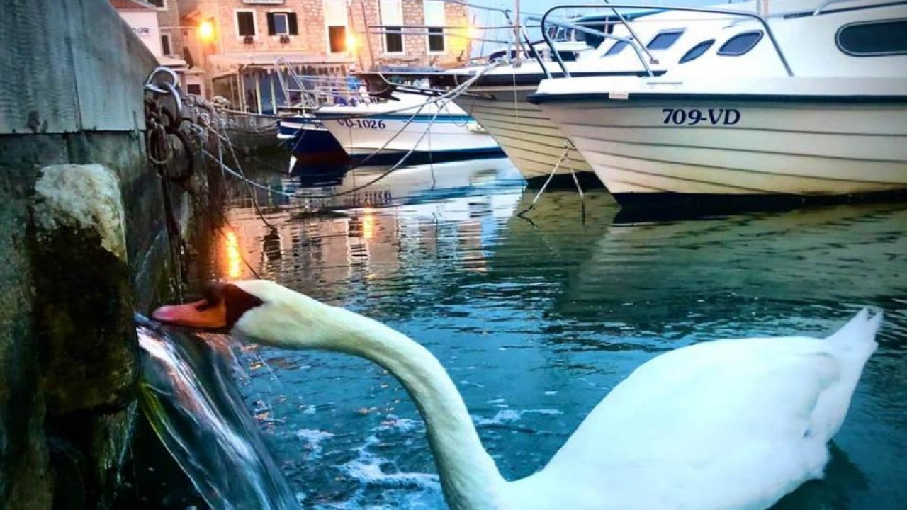 Pitki podzemni put ispod Vodica dobit će ime 'Vodica'