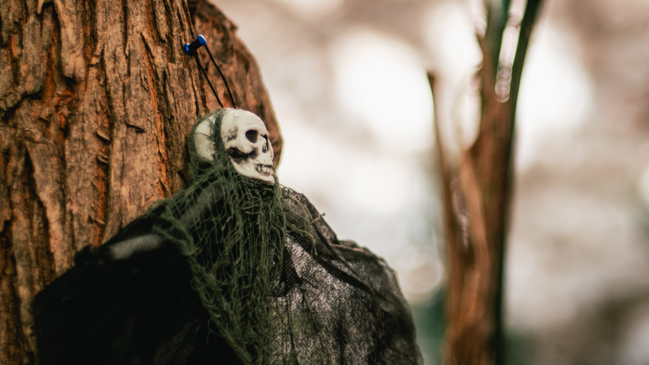 U Šibeniku sutra možete na zabavu za Halloween ili na molitvu na Holywin