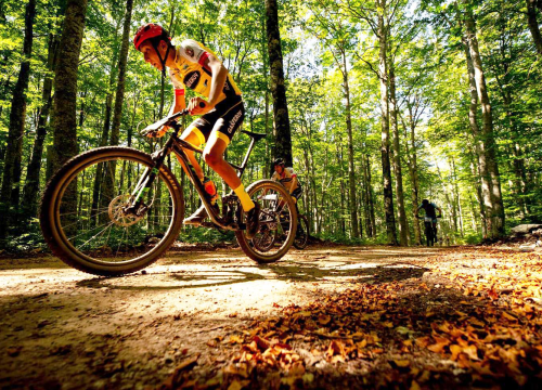 Fotografija 2 - Knin je doživio turistički rast: Sve više posjetitelja otkriva njegove čari