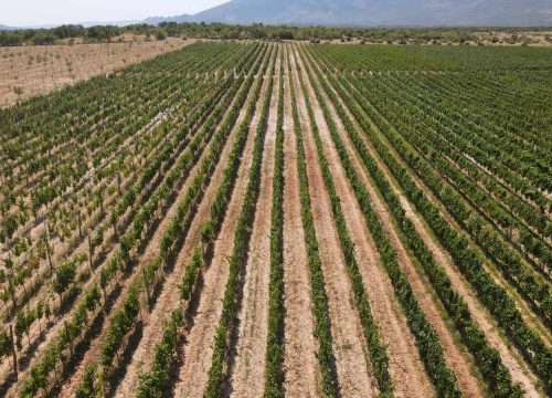 Fotografija 24 - Knin je doživio turistički rast: Sve više posjetitelja otkriva njegove čari