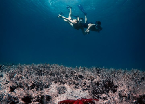 Fotografija 2 - Izložba fotografija 'Dalmacija u tvom oku' u Dalmare shopping centru