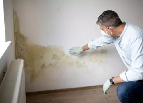 Imate problema u kući s prekomjernom vlagom i plijesni? Imamo savjet kako ih trajno riješiti!