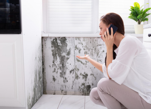 Imate problema s vlagom i plijesni? Provjerite kako ih jednostavno riješiti!