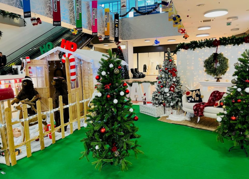 Najluđe odbrojavanje s Dalmare centrom!