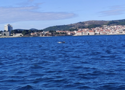 Dupin se zaigrao ispred Vodica!