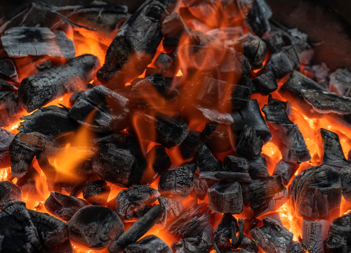 Fotografija 4 - Nabavite drveni ugljen za savršen roštilj po odličnim cijenama!