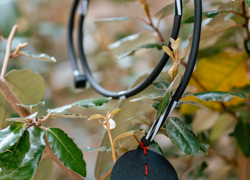 Fotografija 20 - Proljeće u Galeriji Juraj Dalmatinac donosi slikarsku poetsku fantastiku po sniženoj cijeni