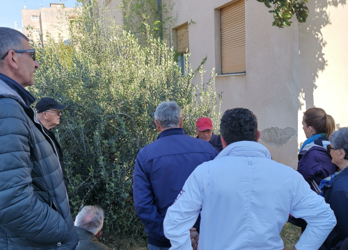 Fotografija 6 - Prvo teorija pa onda praksa: Davorin Pamić nakon emisije maslinarima prezentirao rezidbu masline