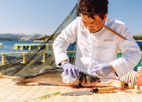 Fotografija 20 - Mirsad Mešinović stvara vrhunske foto i video materijale!