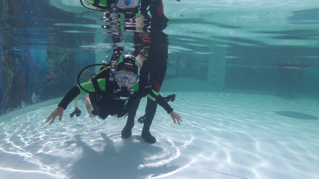 Ronilački vikend u Vodicama: Besplatno ronjenje, ali i velika eko akcija