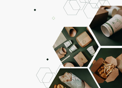 Just Go Eco predstavlja novi web shop s jednokratnom ambalažom: Kvaliteta i inovacija u usluzi ugostiteljstva