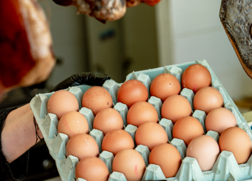 Fotografija 7 - Delikatese Petrović sa šibenske pijace proširile svoju ponudu: Traže i vozača na neodređeno vrijeme