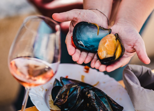 Ove subote doživite romansu pidoće i debita na šibenskoj rivi!