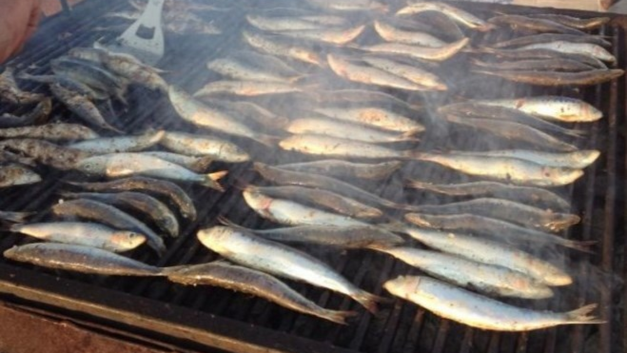 Na tradicionalnoj ribarskoj večeri u Vodicama uživajte u domaćim specijalitetima