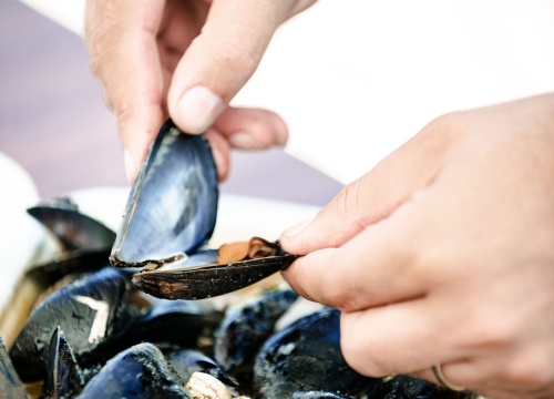 Fotografija 11 - Posjetite kušaonicu Oyster22 i na licu mjesta uživajte u slasnim pidoćama na buzaru!