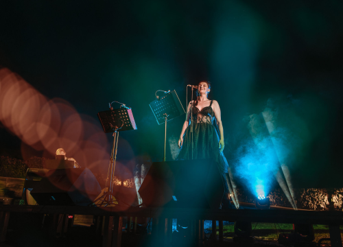 Ne propustite koncert Nele, Gordane i Nere!