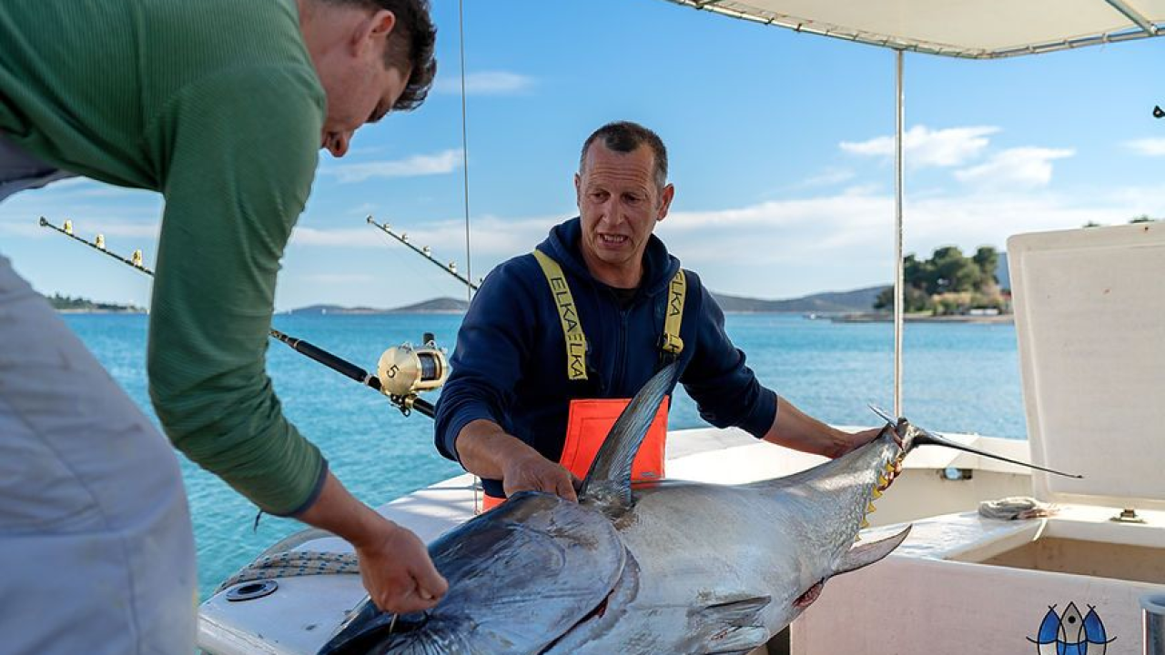 Ministrica Vučković posjetit će objekt za preradu ribe u Vodicama