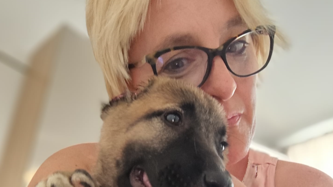 Štene kojem je netko odrezao uši sada živi na ranču kraj Vodica: 'Kod nas je dobila dom i veliku obitelj'