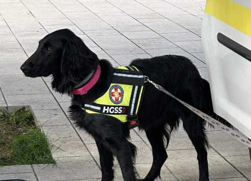 Fotografija 7 - U punoj spremi održana smotra operativnih snaga civilne zaštite Grada Drniša