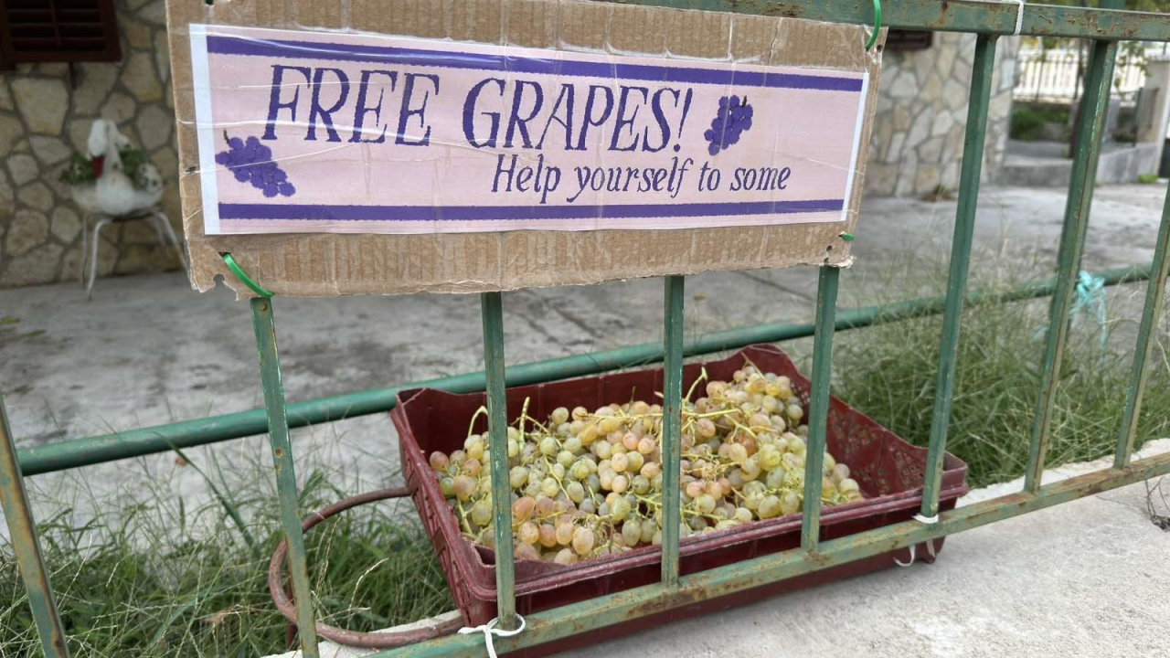 Turisti oduševljeni gestom Vodičana: Besplatno grožđe i žižule na putu do hotela