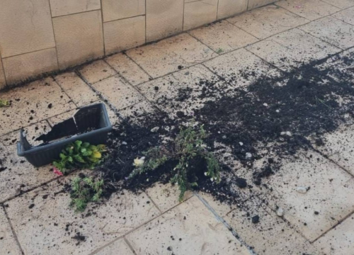 Fotografija 5 - Vandali u centru Vodica porušili gredice sa cvijećem