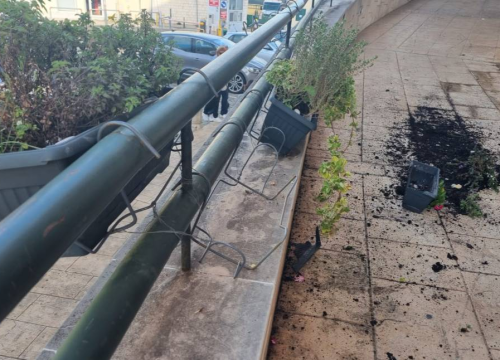 Fotografija 1 - Vandali u centru Vodica porušili gredice sa cvijećem