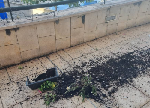 Fotografija 2 - Vandali u centru Vodica porušili gredice sa cvijećem