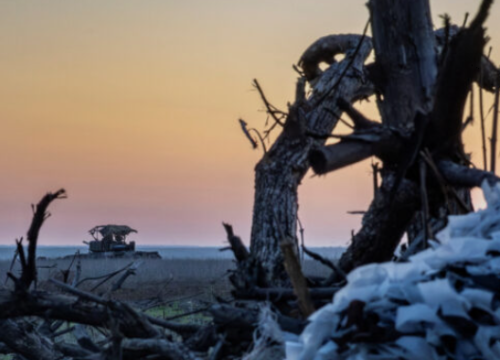 U svijetu od posljedica porasta temperatura svake minute umre jedna osoba
