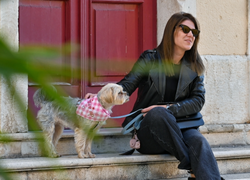 Fotografija 8 - Đir po gradu, petak 1. studenog