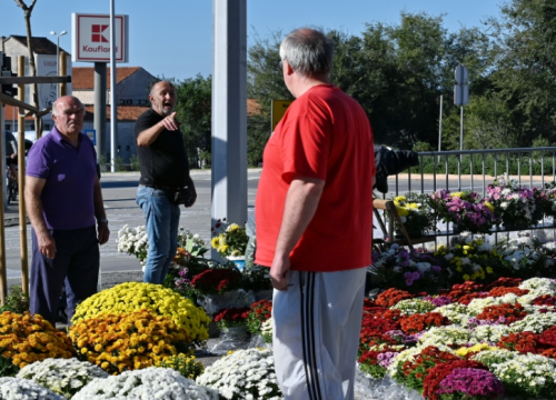 Fotografija 5 - Đir po gradu, petak 1. studenog