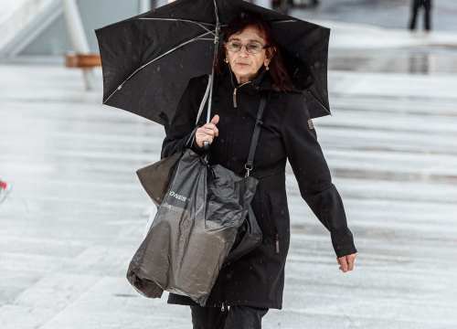 Fotografija 8 - FOTO Đir po gradu, petak 22. studenog