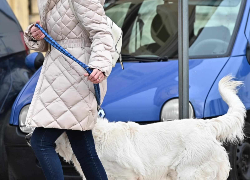 Fotografija 18 - FOTO Đir po gradu, nedjelja 5. siječnja