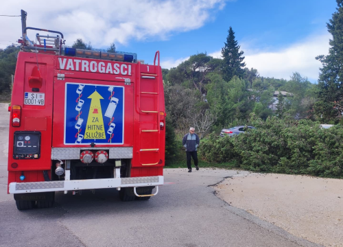 Fotografija 1 - Bilički vatrogasci uklanjali stablo s prometnice