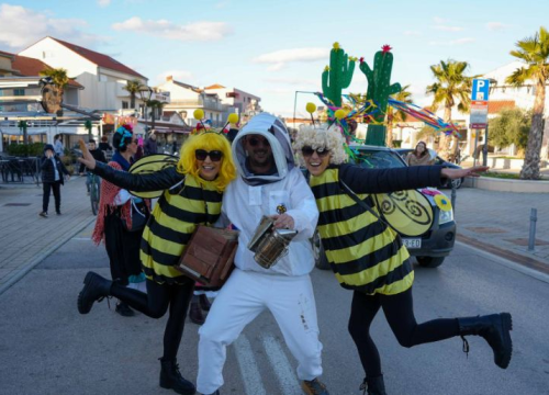 Maske, ples i zabava za sve uzraste: Pokladni program u Vodicama spreman