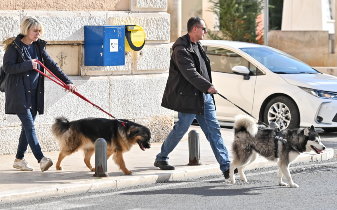 Đir po gradu, nedjelja 2. veljače