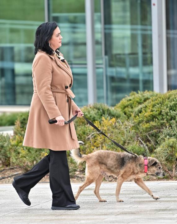 Đir po gradu, nedjelja 23. veljače