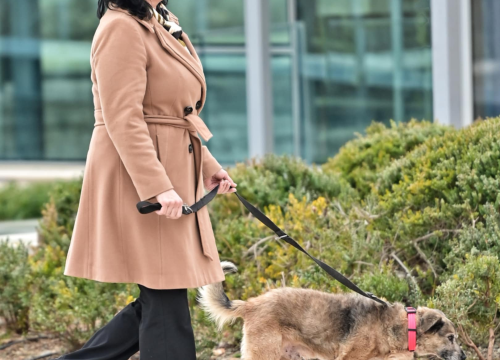 Fotografija 2 - Đir po gradu, nedjelja 23. veljače