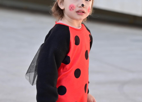 Fotografija 13 - Maškarana povorka prošla kroz grad (2)