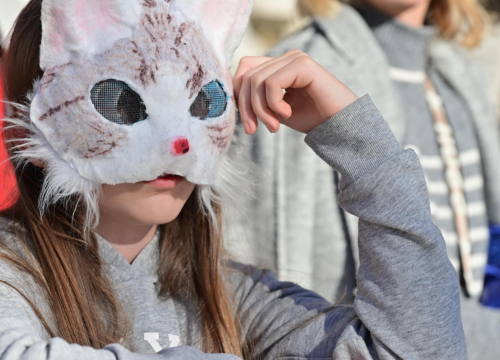 Fotografija 5 - Maškarana povorka prošla kroz grad (2)