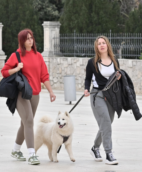 Đir po gradu, 24. ožujka