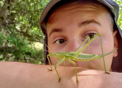 ‘Mali botanički ragovori’: Sebastian Ćato gostuje sutra u Azimutu u sklopu festivala Flora Dalmatica