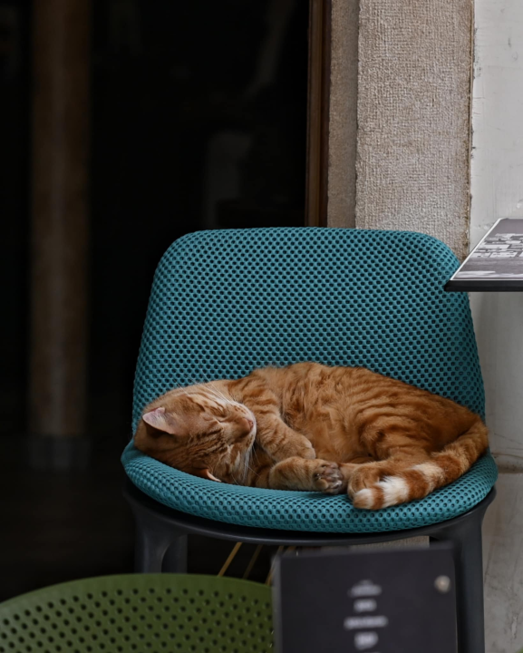 Đir po gradu, subota 3. svibnja