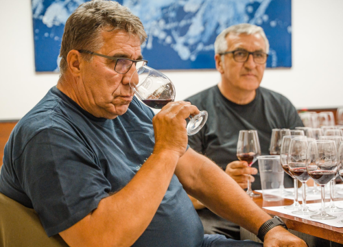 Fotografija 1 - Ne propustite četvrti Festival drniškog merlota