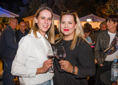 Fotografija 8 - Ne propustite četvrti Festival drniškog merlota