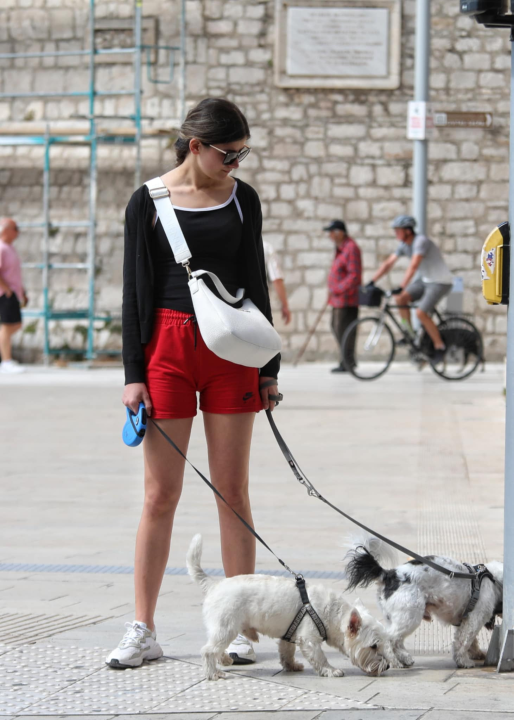 Đir po gradu, petak 30. svibnja