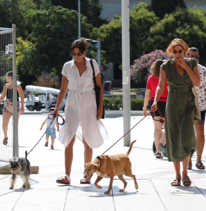 Đir po gradu, subota 12. srpnja