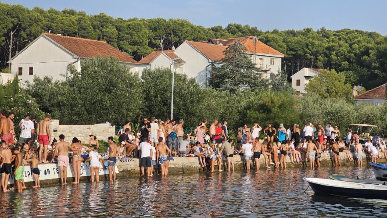 Lov na ciple na teću